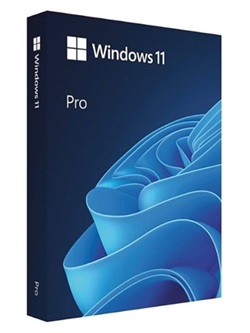 Windows 11 X64 21H2 Pro 3in1 OEM ESD MULTi-7 JULY 2022 {Gen2} torrent